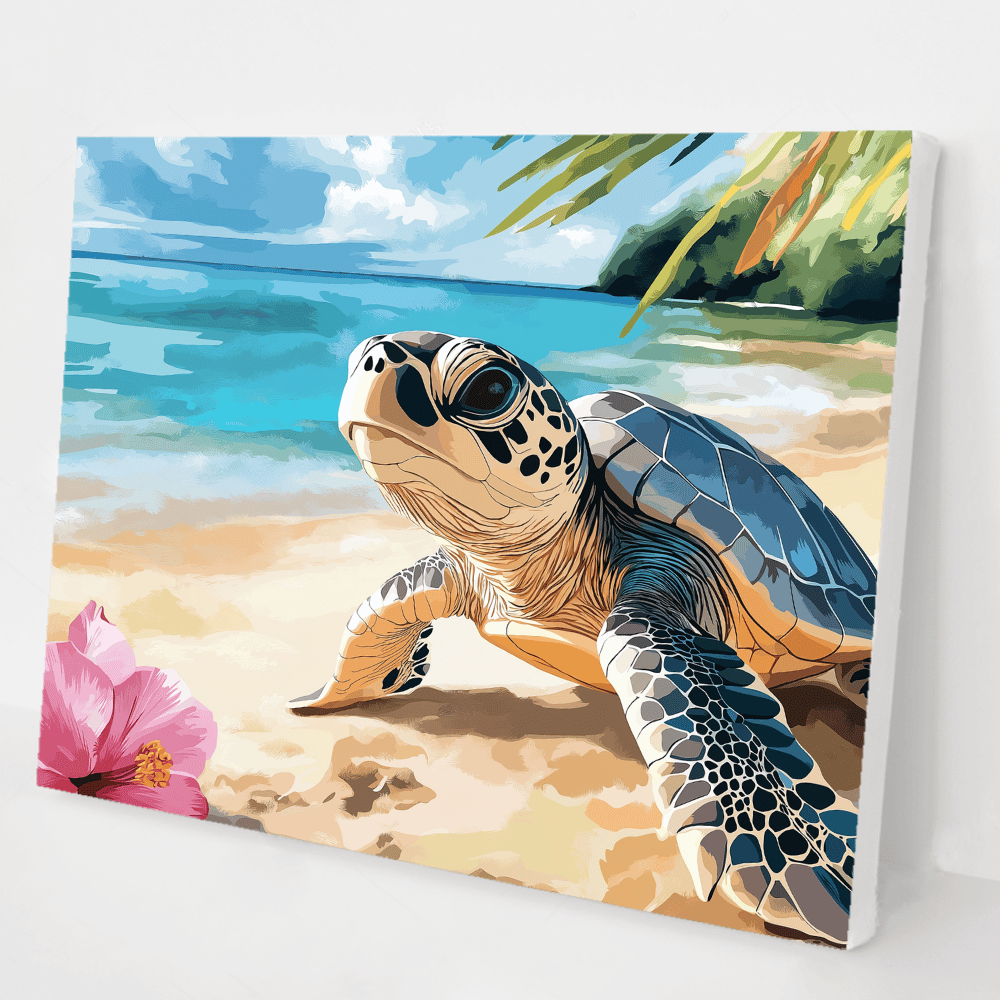 Baby Sea Turtle Explorer kit