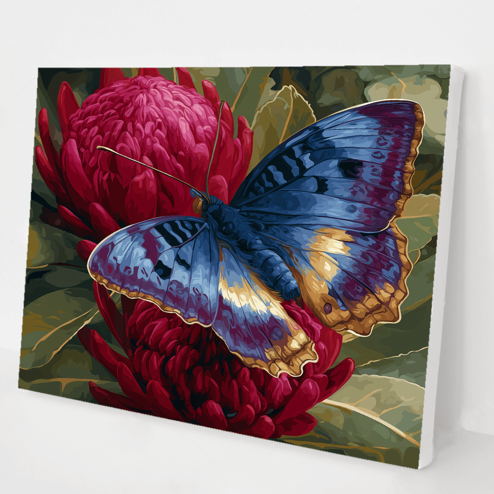 Waratah Butterfly kit