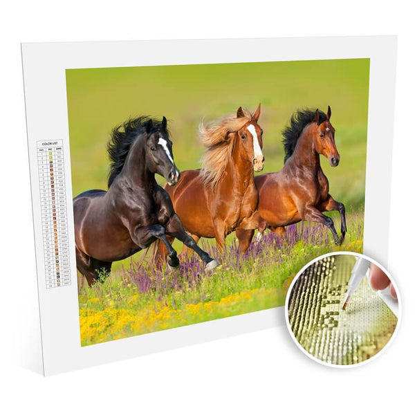 Paint Plot Horse Herd Diamond Painting Kit Paint Plot Australia