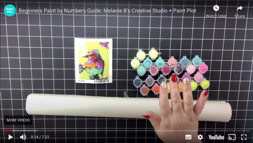 PAINT PLOT AUSTRALIA AND MELANIE B’S CREATIVE STUDIO: BEGINNERS GUIDE TO PAINT BY NUMBERS