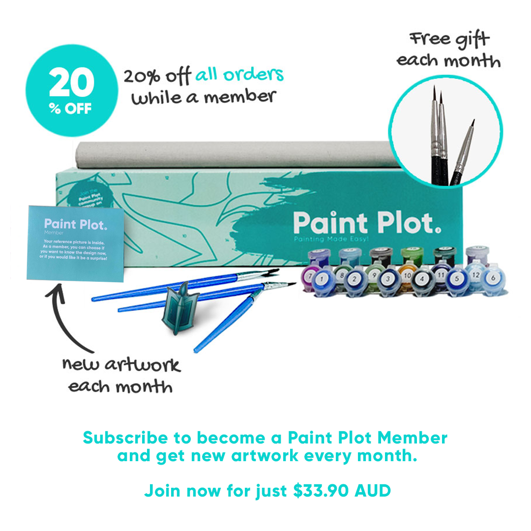 PAINT PLOT MERMBERSHIP: PAINT BY NUMBER SUBSCRIPTION BOX