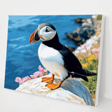 Atlantic Puffin kit