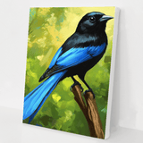 Blue Tailed Finch kit