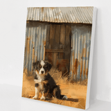 Country Companion kit