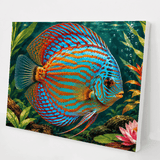 Discus Jewel kit