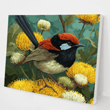 Fairywren kit