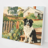 Farm Collie kit