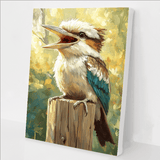 Laughing Kookaburra kit