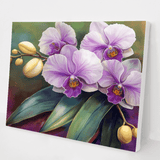 Orchid Elegance kit