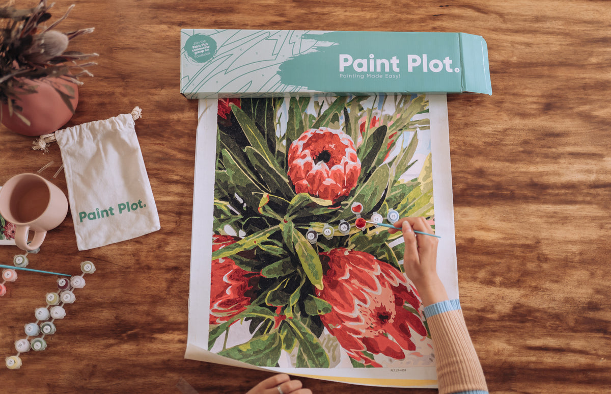 Paint Plot: Paint By Numbers For Adults