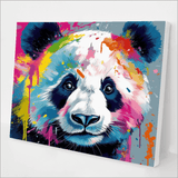 Paint Panda Kit