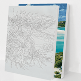 Paint by Number Mystery Bundle - Landscapes 2 Pack