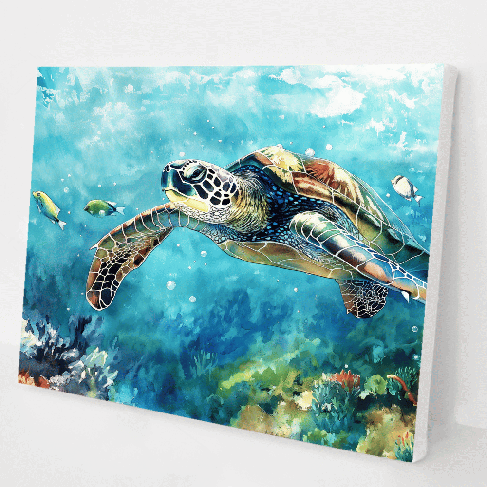 The Great Barrier Reef kit