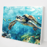 The Great Barrier Reef kit