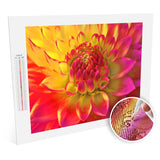 Sunburst Dahlia diamonds