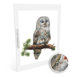 Ural Owl diamonds