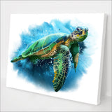 Green Sea Turtle kit