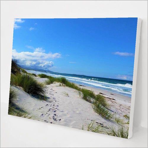 Tasmanian Beach kit