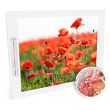 Poppy Field diamonds