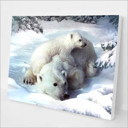 Polar Bears kit
