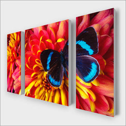 Beautiful Butterfly Multi-Panel kit