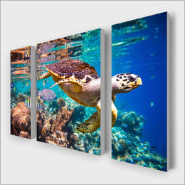 Coral and Sea Turtle Multi-Panel kit