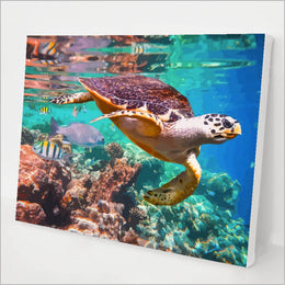 Coral and Sea Turtle kit