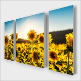 Sunflower Field Multi-Panel kit